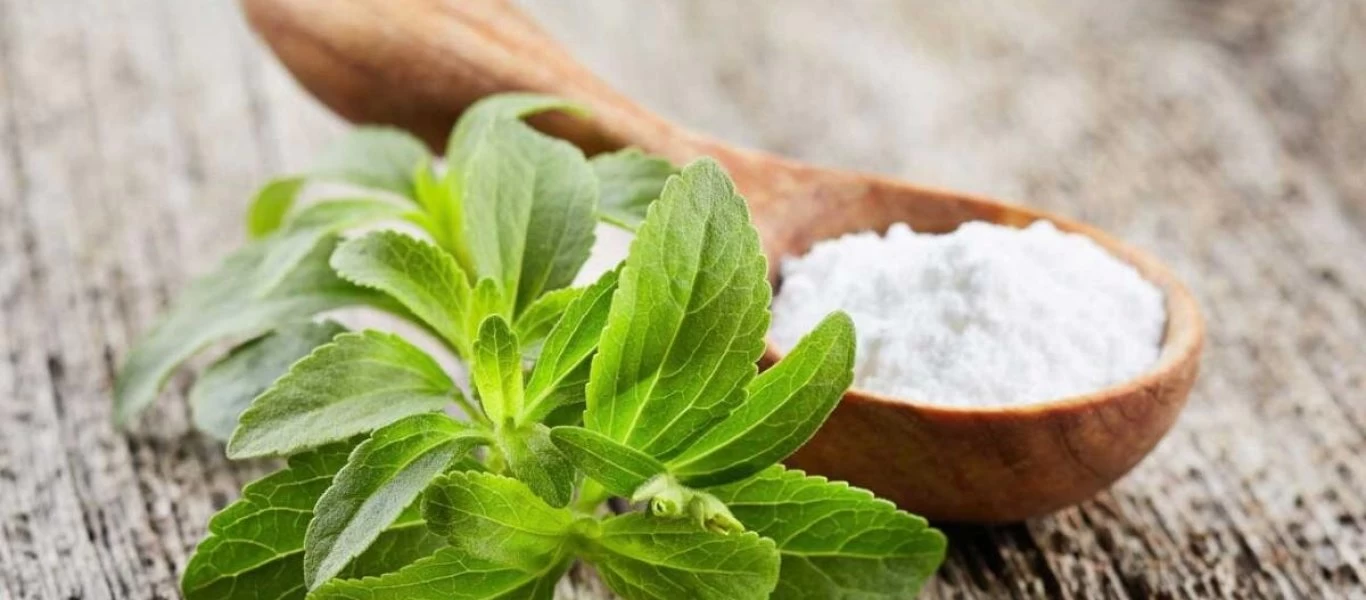 Πρόγραμμα κατάρτισης για την στέβια από τον οργανισμό «Νέα Γεωργία Νέα Γενιά»